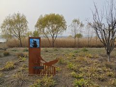 -绿堤公园
