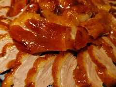 -守柴炉烤鸭(科华中路王府井店)