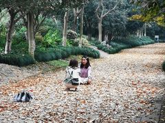 -杭州少年儿童公园