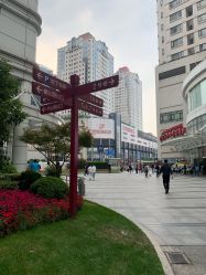 -中国福利会国际和平妇幼保健院(徐汇院区)