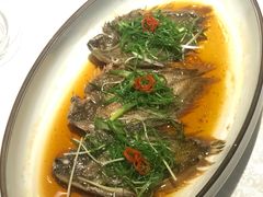 -御唐府海珊瑚主题餐厅