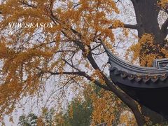 -惠山古镇·寄畅园