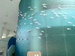 android_upload_pic-深圳东部华侨城瀑布酒店