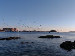 -栈桥景区