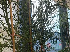 -山缓缓火锅(苏州仁恒仓街店)