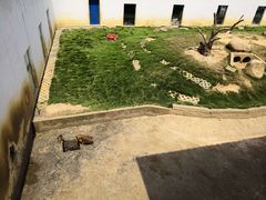 -武汉紫薇都市田园