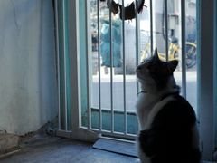 -小时光咖啡馆(北锣鼓巷店)
