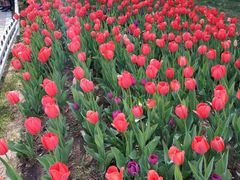 -长春公园(普阳街道)