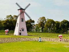 -顾村公园