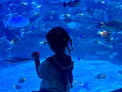 -海合安成都极地海洋公园