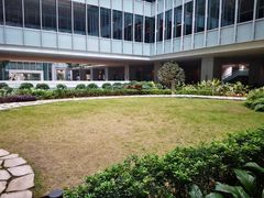 -香港大学