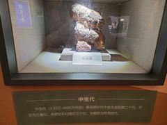 -陕西自然博物馆