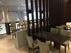 -虹桥机场国航贵宾室v8