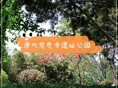 -大慈恩寺(大雁塔)