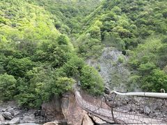 -黑河国家森林公园