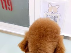 -宠福鑫康馨动物医院·骨科·眼科