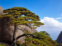 -黄山风景区