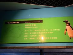 -海合安武汉极地海洋公园