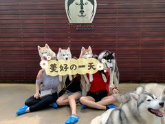 -TrueLove @ Neverland (Husky Cafe)