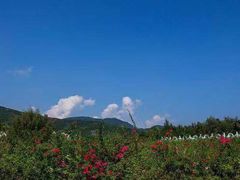 -玫瑰海岸文化旅游度假区