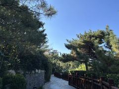 -徂徕山森林康养度假谷温泉