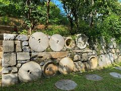 -老木棉·匠园