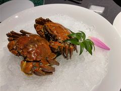 -福玺荟(外滩罗斯福店)