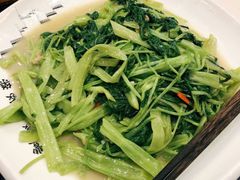 -丰食农家乐
