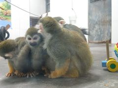 -西安秦岭野生动物园