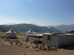 -空中草原