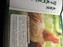 -百年果林椰子鸡(中洲店)