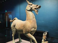 -广西壮族自治区博物馆