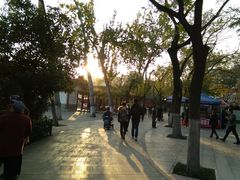 -莲湖公园
