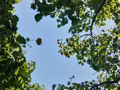 -阳台山自然风景区