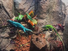 -成都浩海立方海洋公园