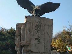 -北京鹫峰国家森林公园