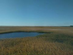 -三江平原湿地宣教馆