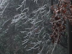 -杭州半山国家森林公园