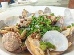 -魚當家