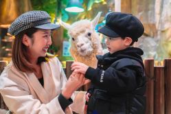 -宝燕乐园(闵行旗舰店)