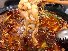 -鸿顺老铁锅美蛙鱼府(解放碑店)