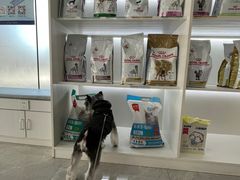 -中农国际动物医院24小时·猫科·骨科·急重症中心