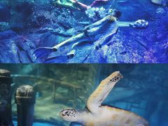 -南京海底世界