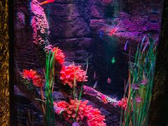 -沈阳海洋探索中心