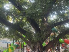 -黄埔古港