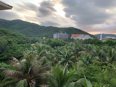 -三亚亚龙湾金棕榈度假酒店