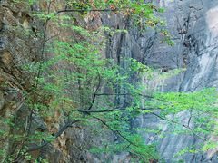 景点-北京上方山国家森林公园