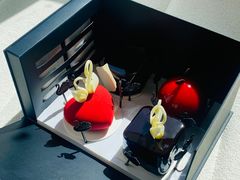 爱心天鹅-BLACKSWAN黑天鹅(环球店)