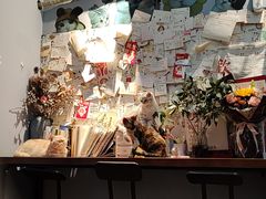 -Meowの猫咖(万家丽店)