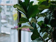 -浅深Cheersum(曹杨店)